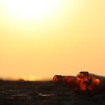 Role of Vitamin D in Muscle Health